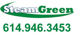 Steam Green-Your Greener Steam Cleaner